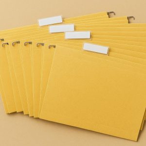 24 Quick Access Tab File Folders Bulk